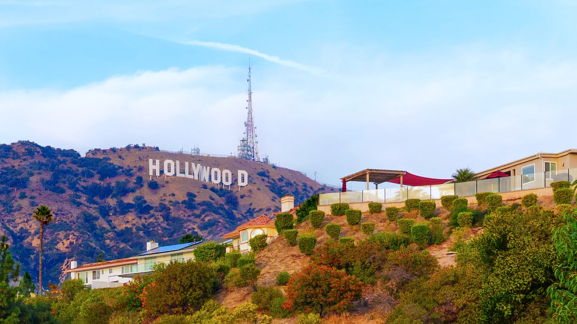 Crime In Tinseltown, Hollywood