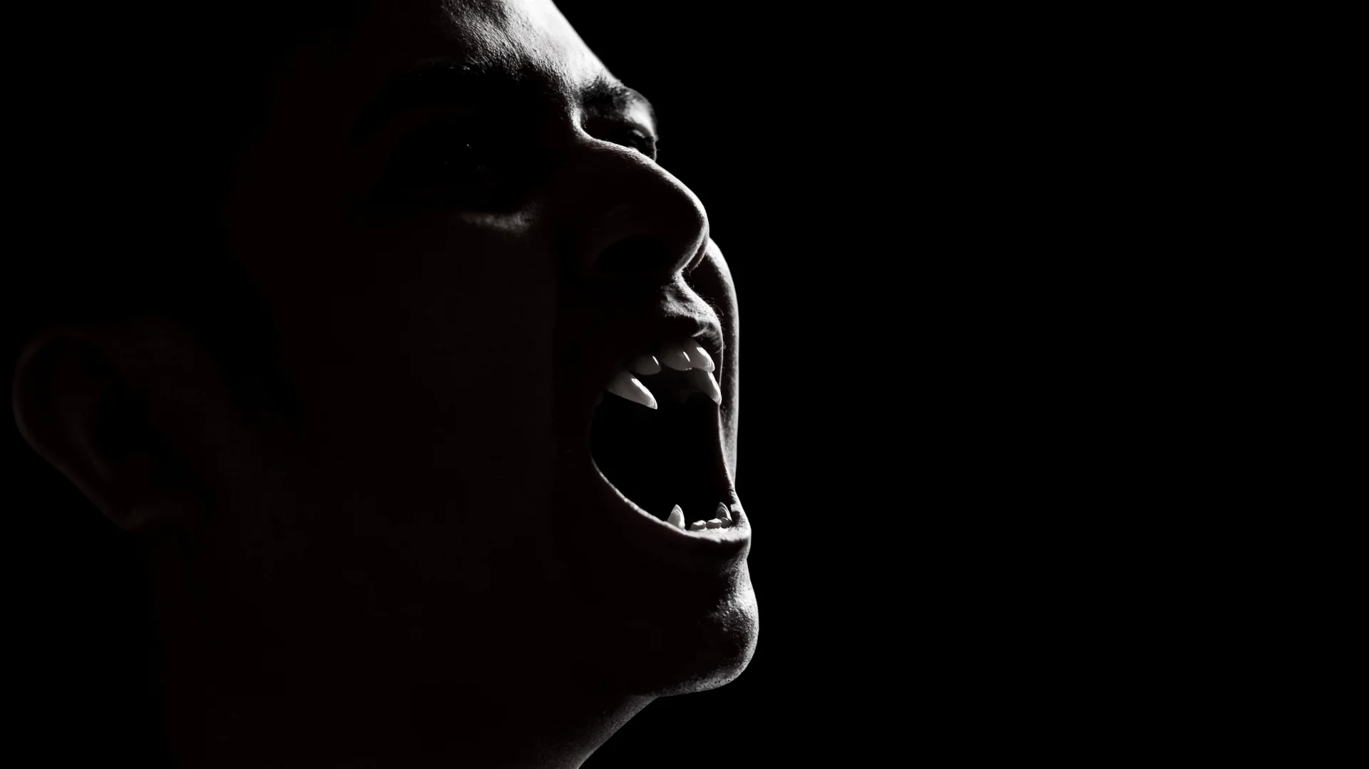 Vampires & Witches Oh My