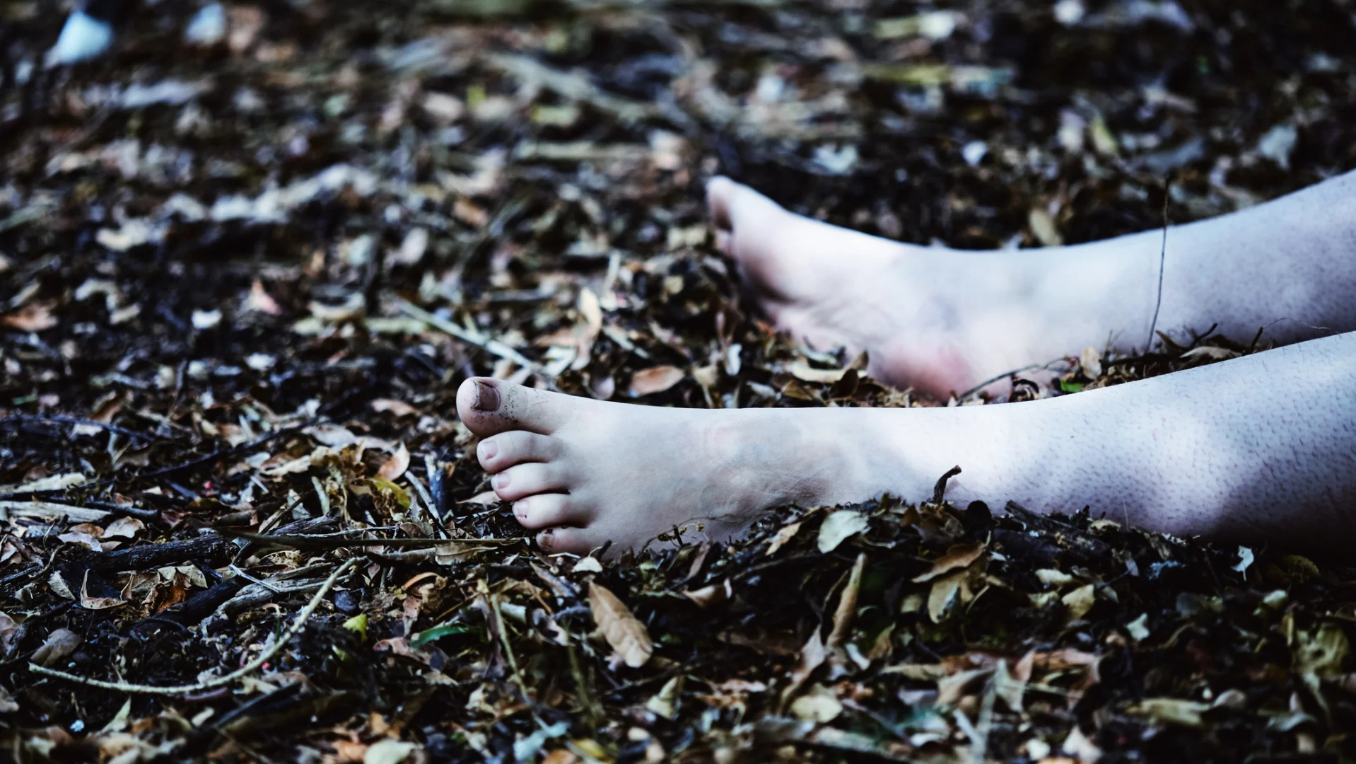 Murder In The Great Outdoors