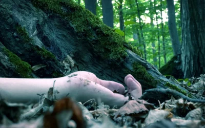 Murder Under the Oaks: Inside the Southern Crime Anthology