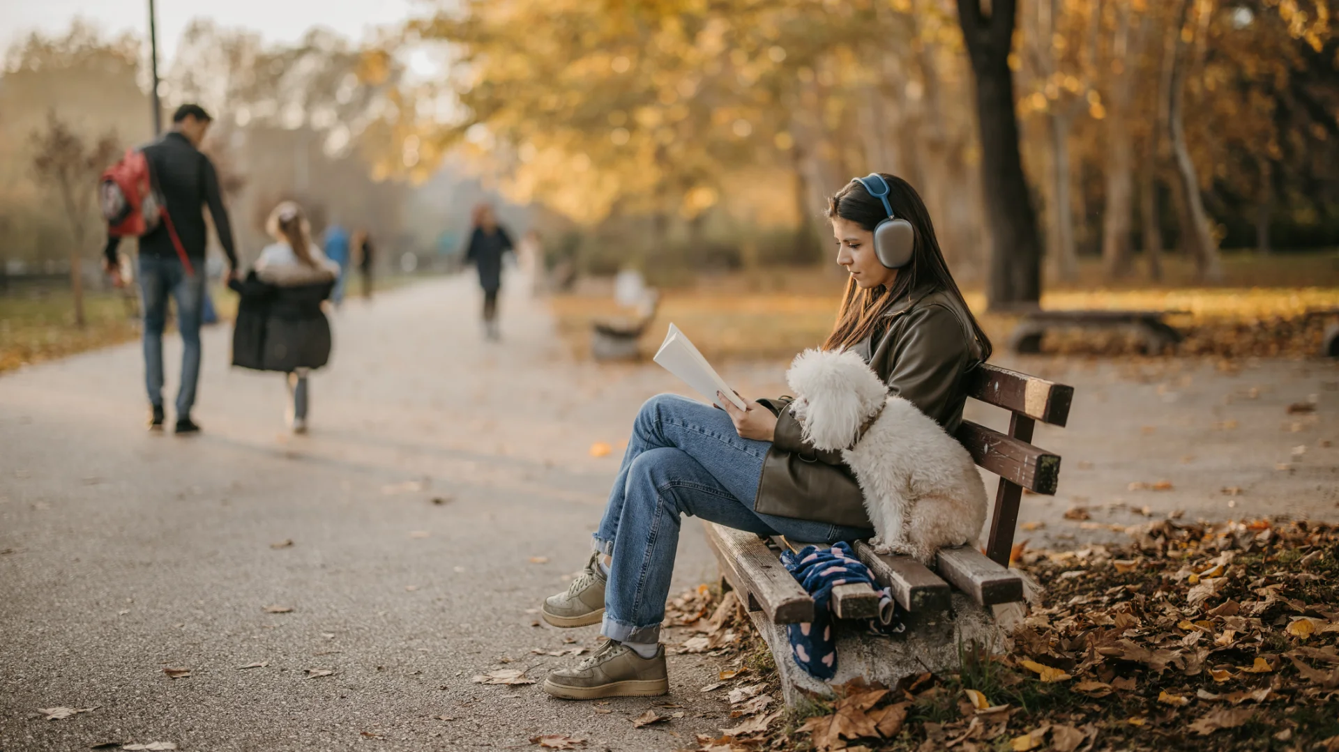 Cozy Mysteries: What Makes the Genre Work