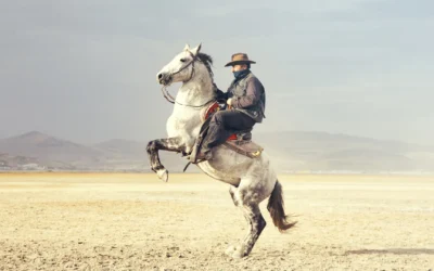 The Western Hero in Modern Thrillers