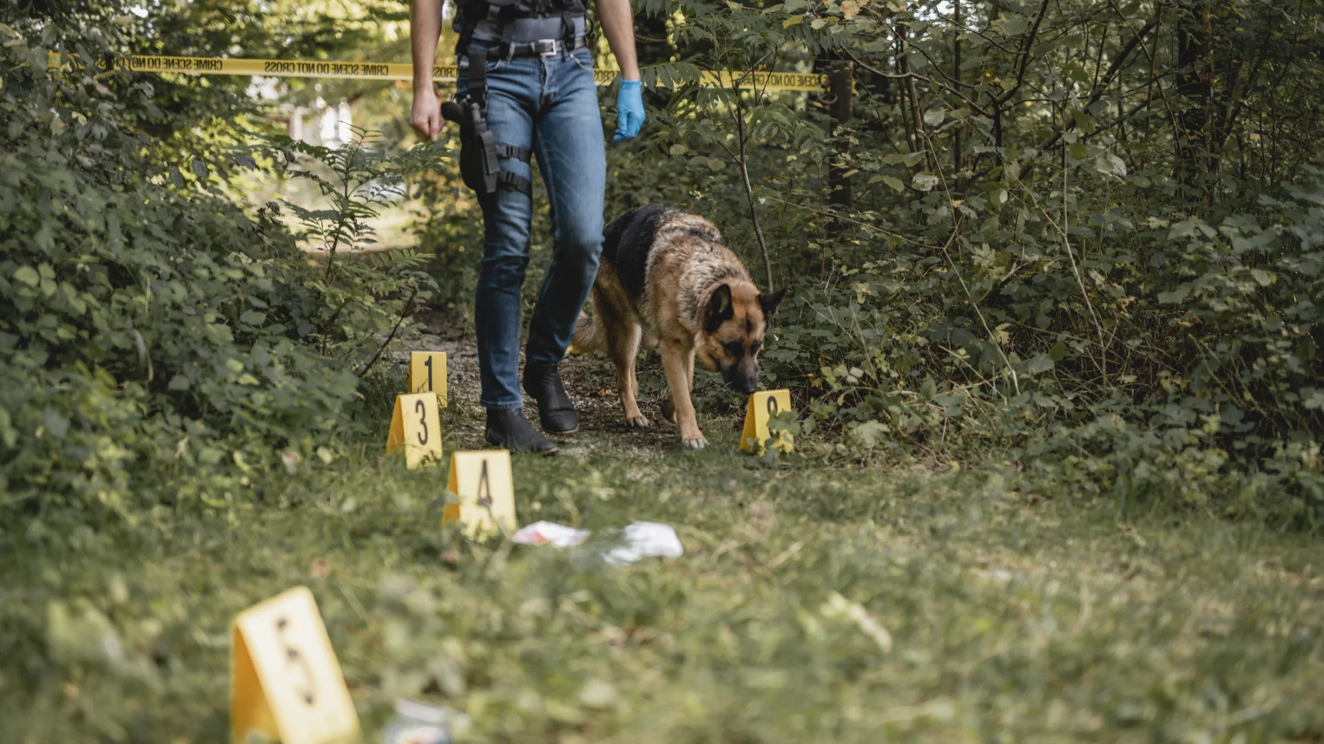 Mysteries With Animals: Bringing Critters Into Crime Fiction
