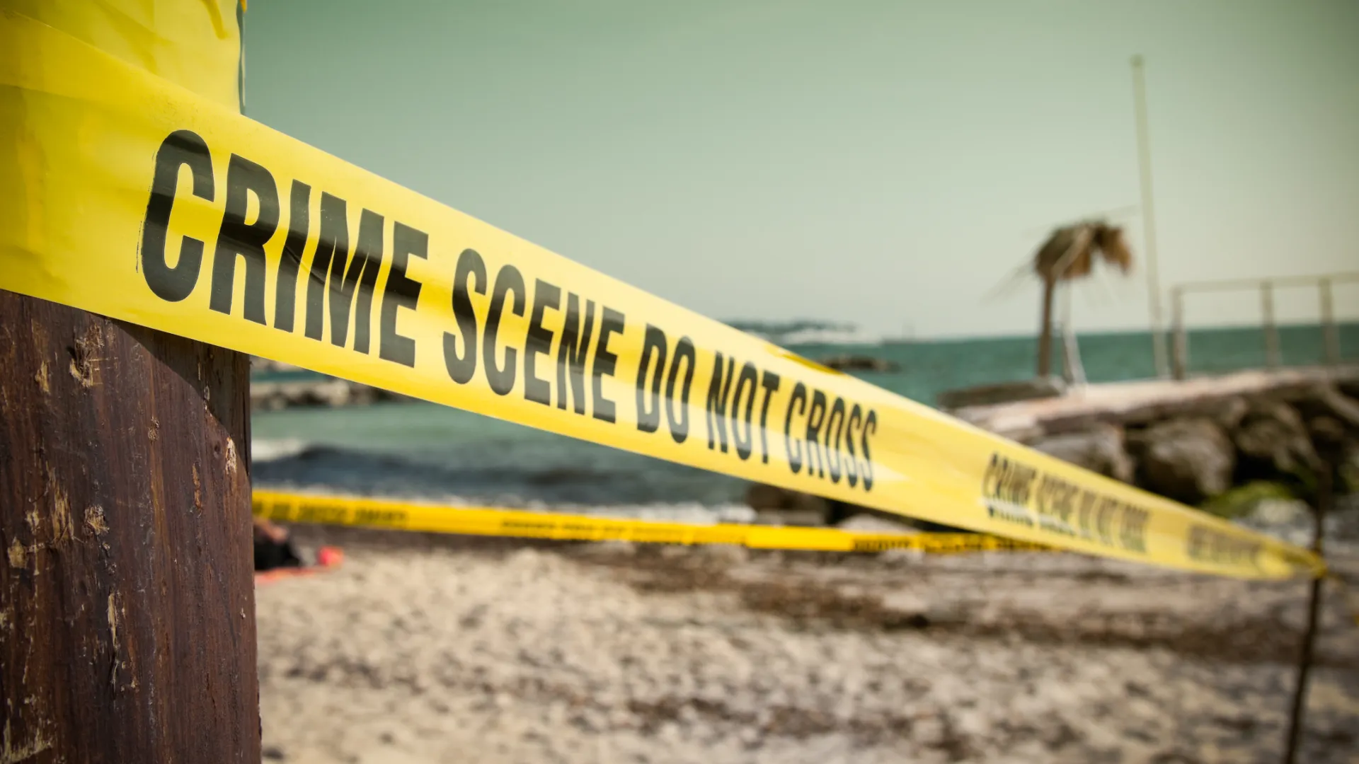 Sunshine and Crime: Writing Florida Mysteries