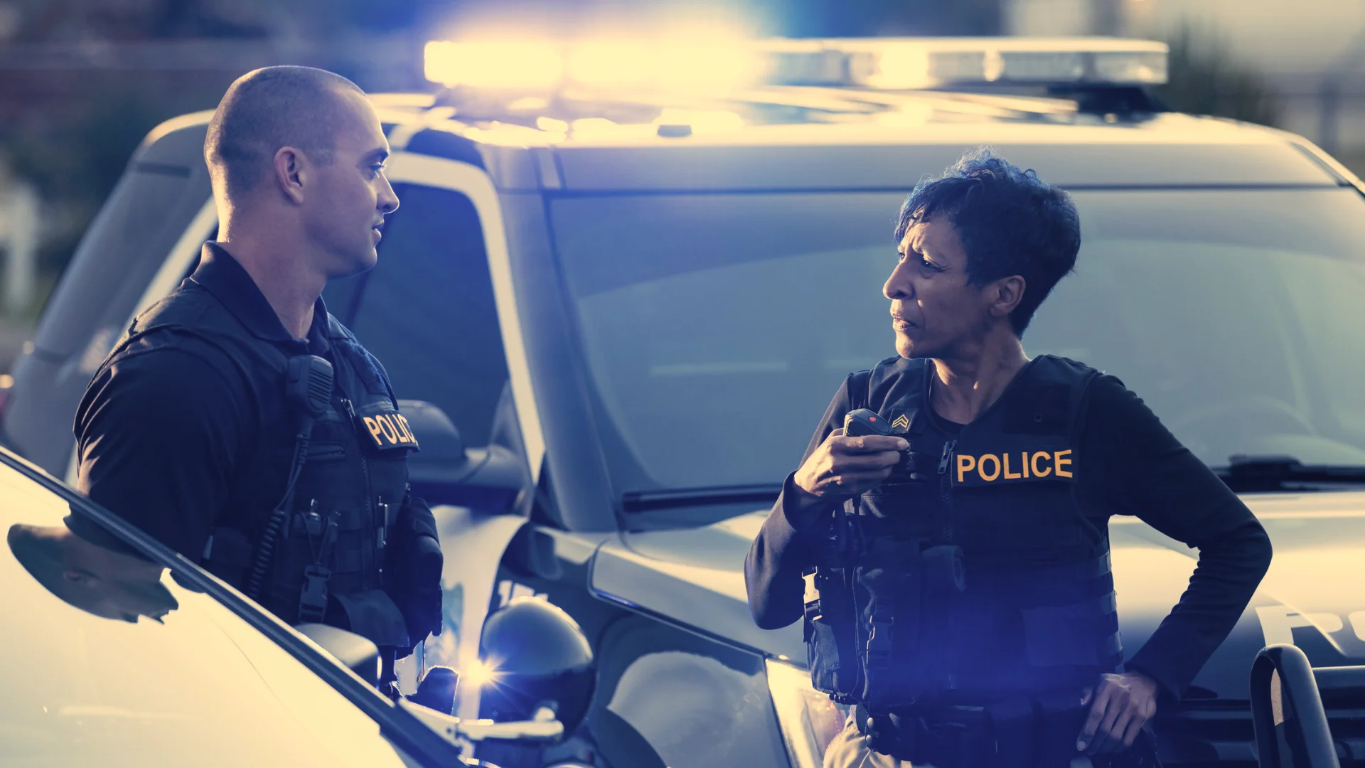 Writing the Police Procedural