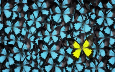 Breakout – The Importance of Contrast