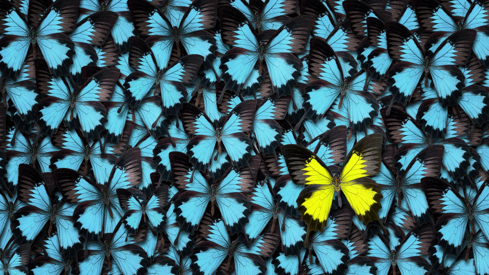 Breakout – The Importance of Contrast