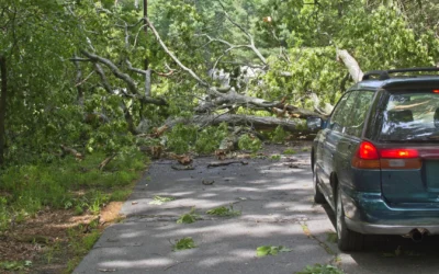 Keynote Speech: Pivoting When Life Doesn’t Go As Planned