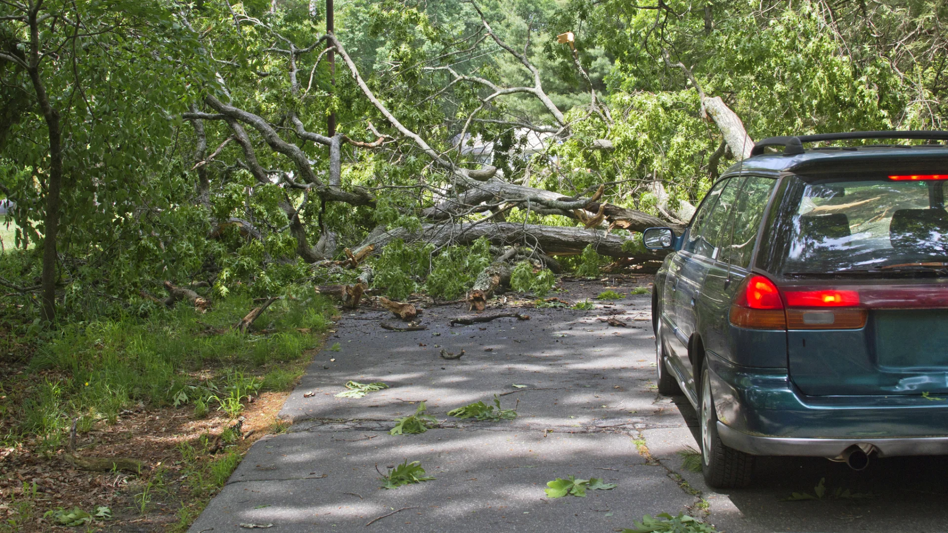 Keynote Speech: Pivoting When Life Doesn’t Go As Planned