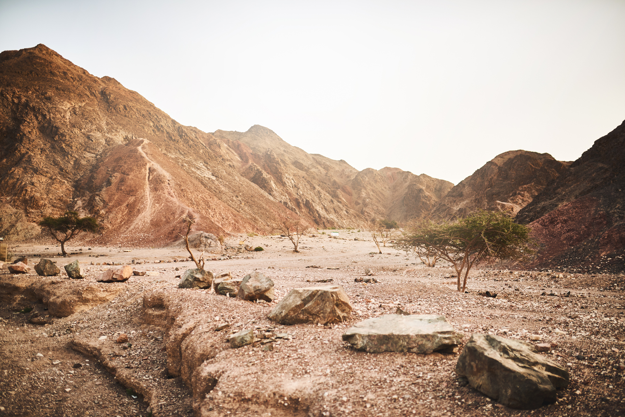 Crime in the Wild: Writing Wilderness Investigations